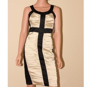 NWT JAX Tan Sheath Dress